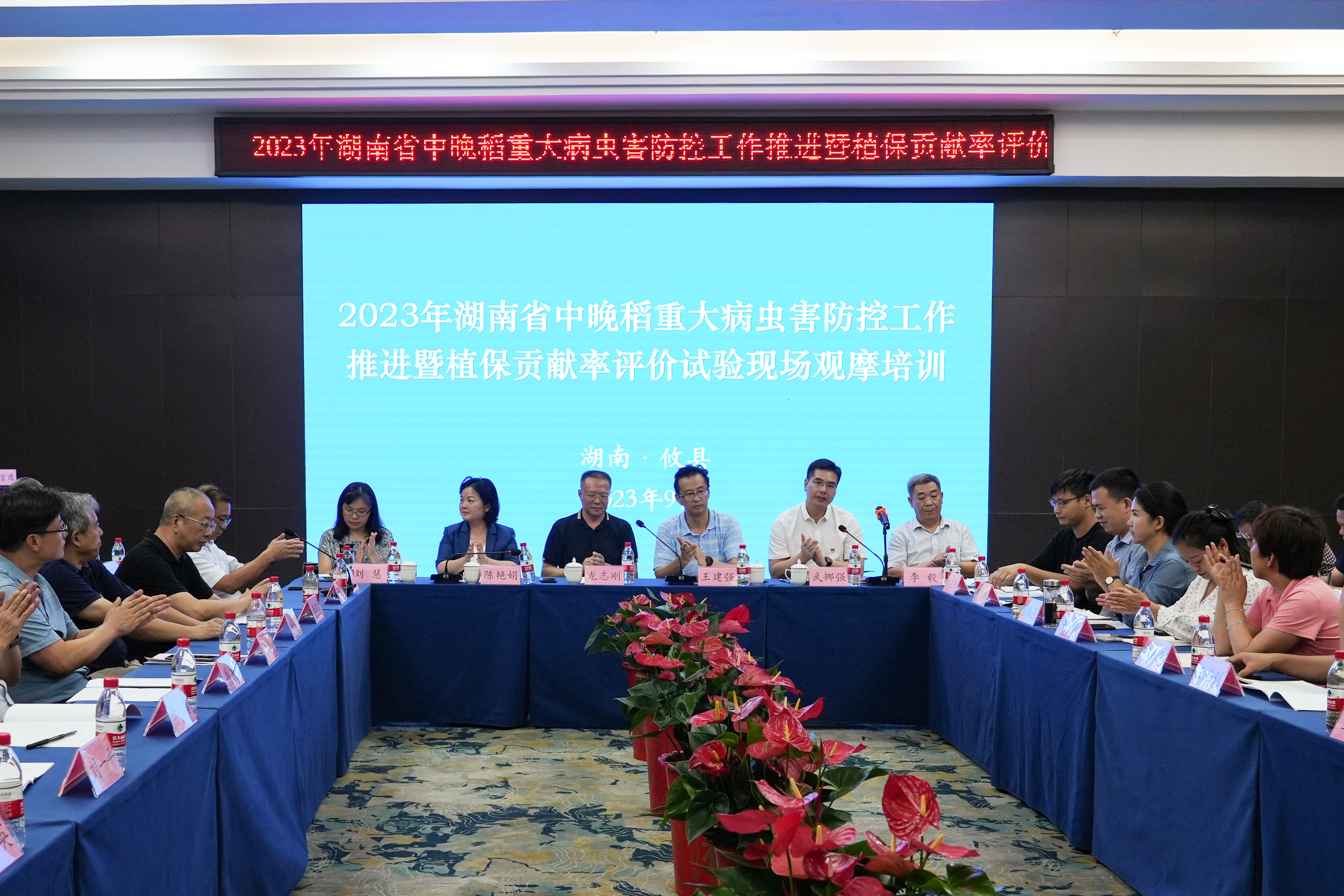 会议.jpg