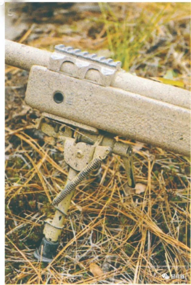 640 (39).jpg
