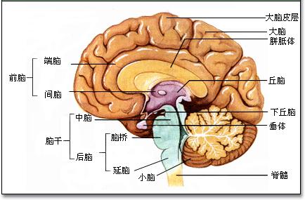 4a36acaf2edda3cc38d4b90301e93901213f92e4.jpg