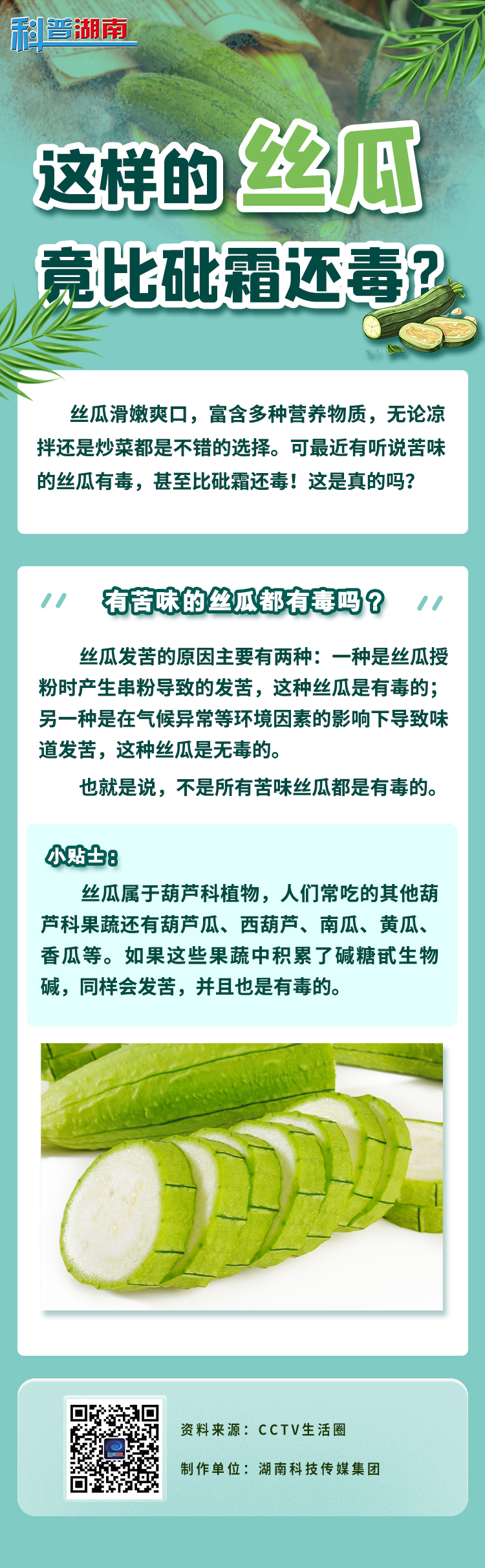 这样的丝瓜 竟比砒霜还毒？2.jpg