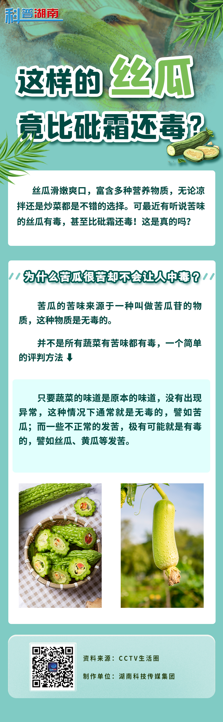 这样的丝瓜 竟比砒霜还毒？3.jpg