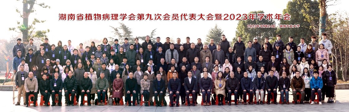 s_993dae431e3adc2f.jpg