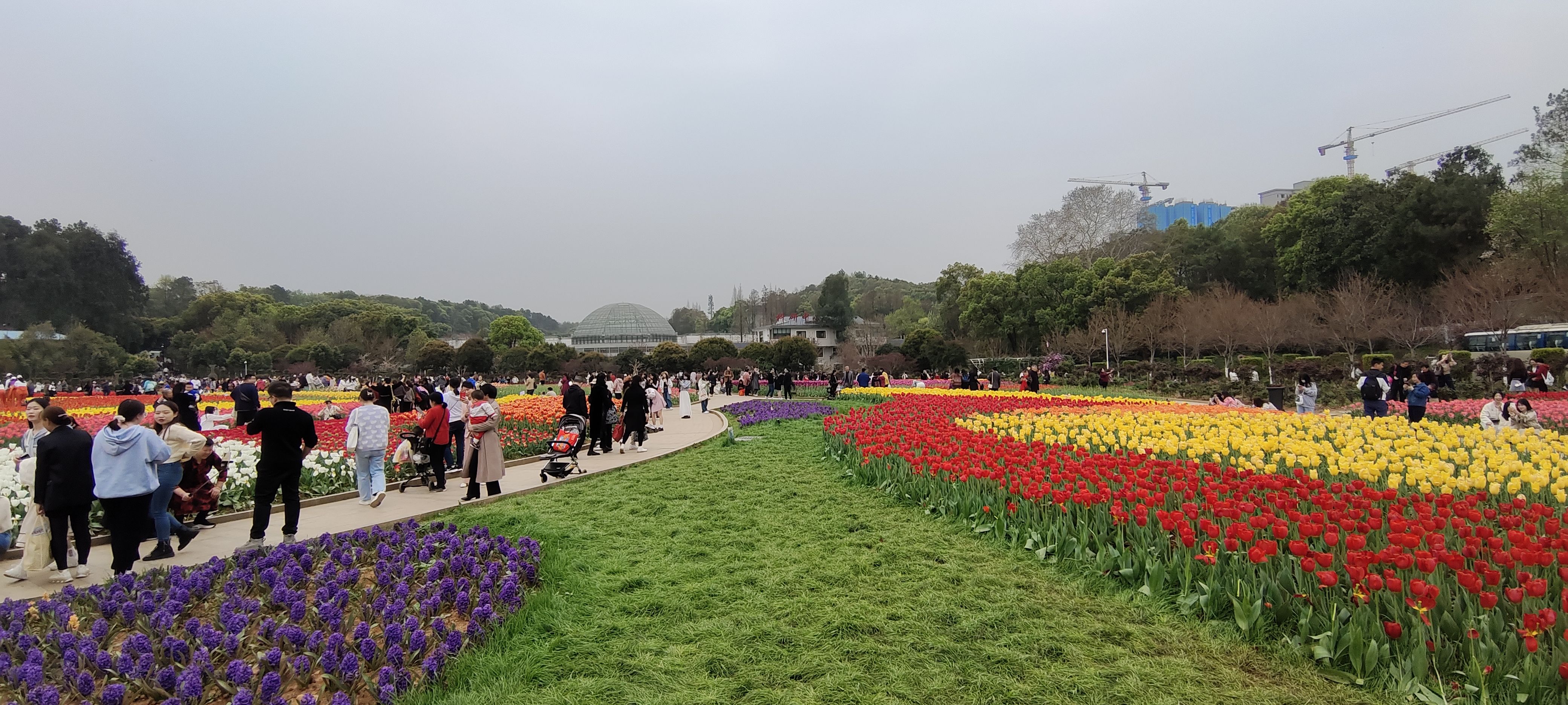 微信图片_202303161614172.jpg