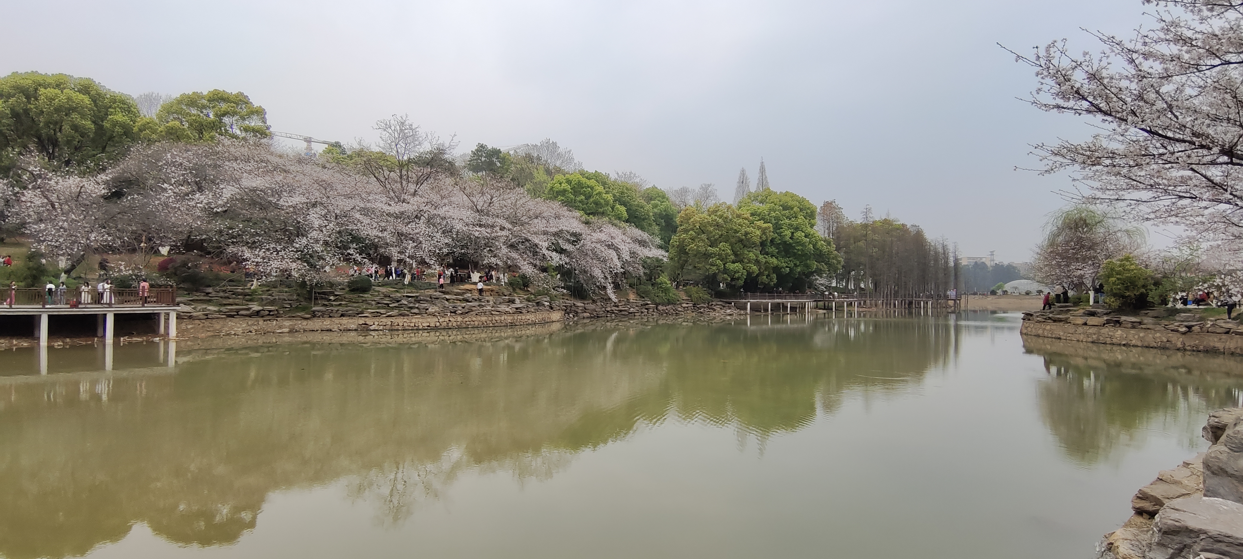 微信图片_202303161614174.jpg