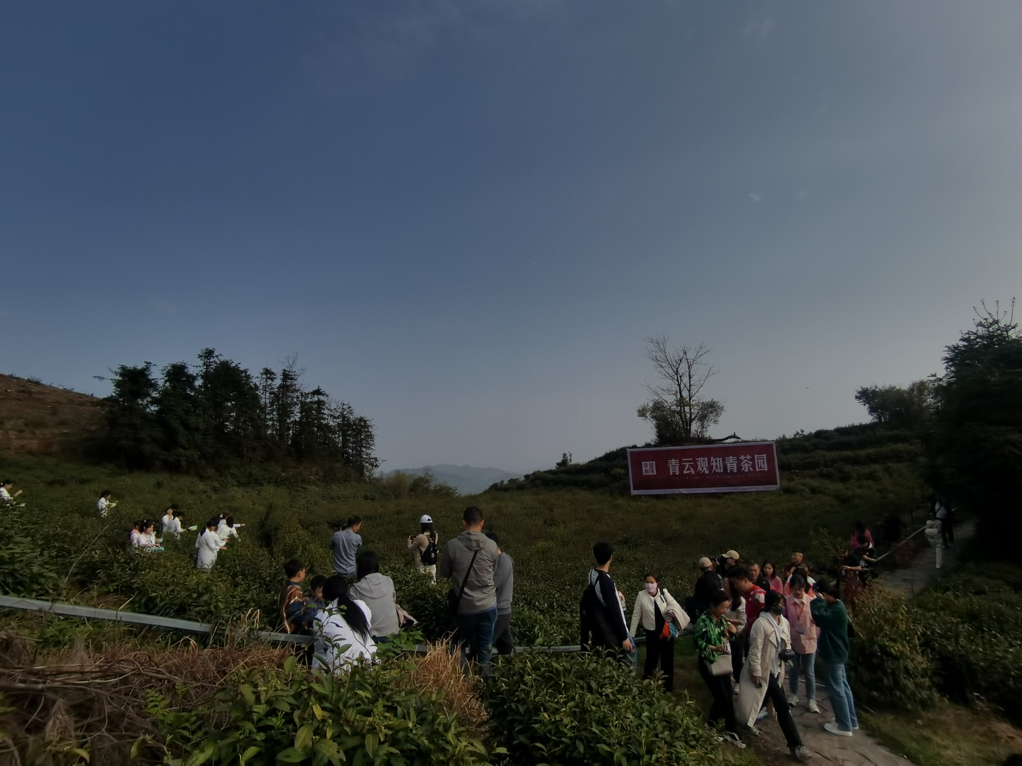 微信图片_202304071738524 (2).jpg