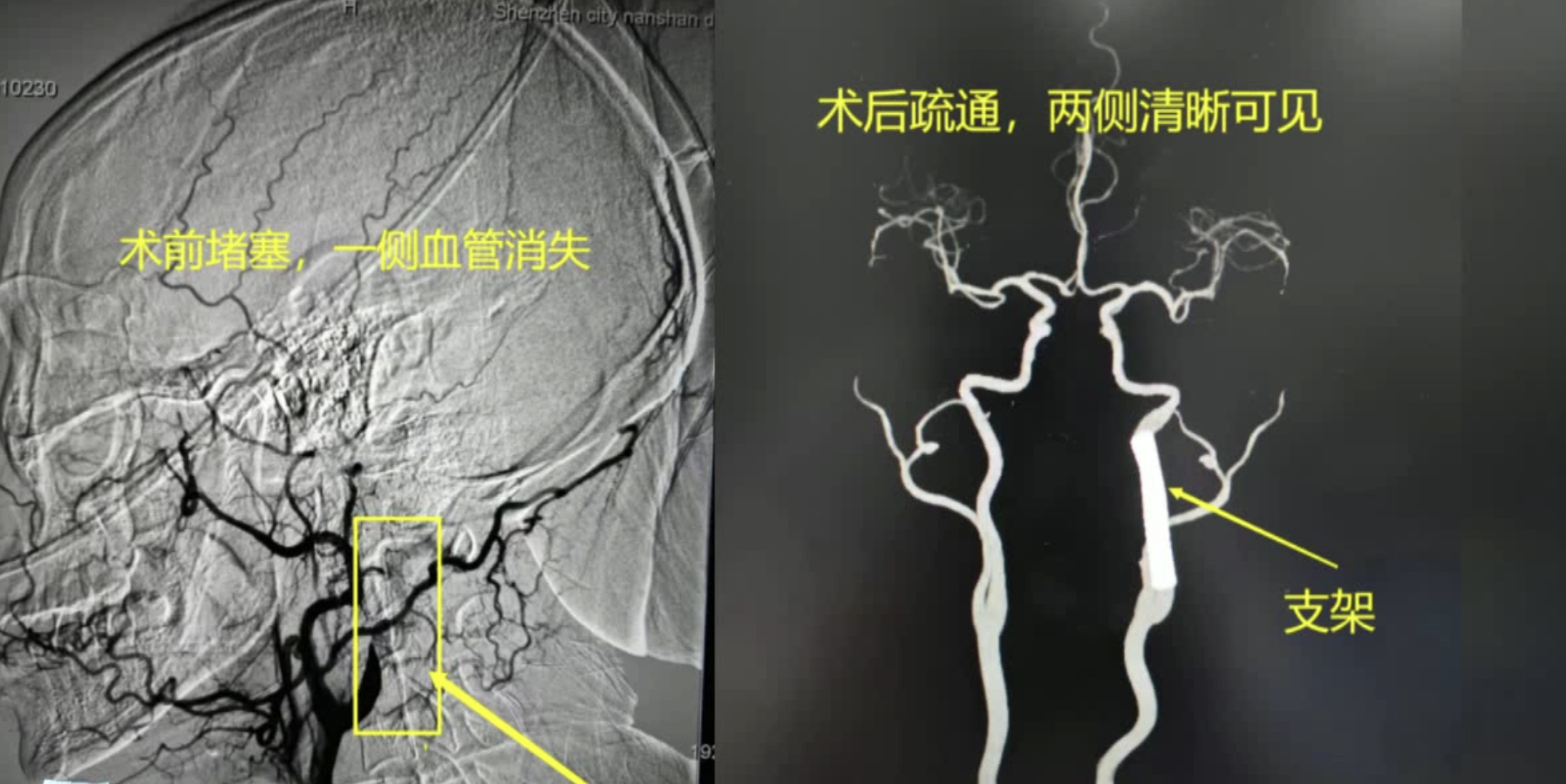微信图片_20230419170918.png