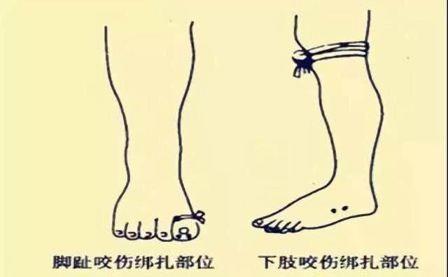1680763147682.jpg