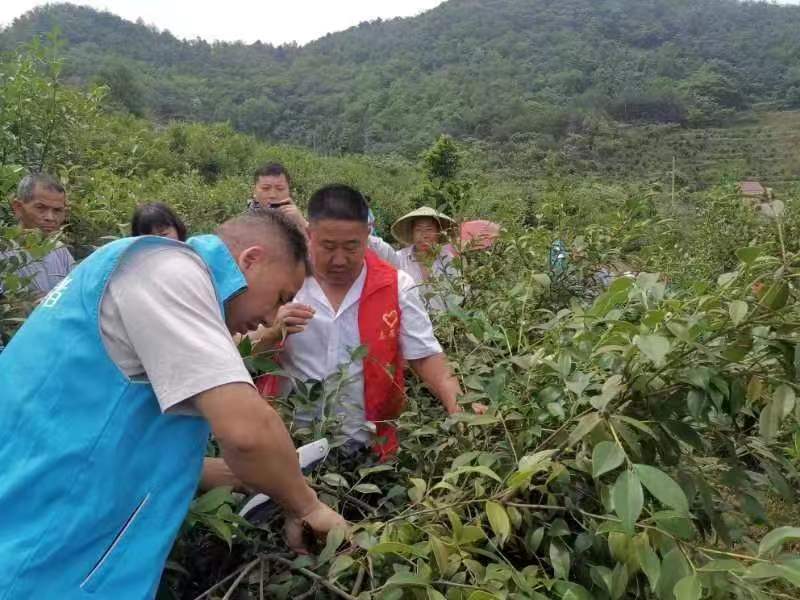 微信图片_20230530084921.jpg