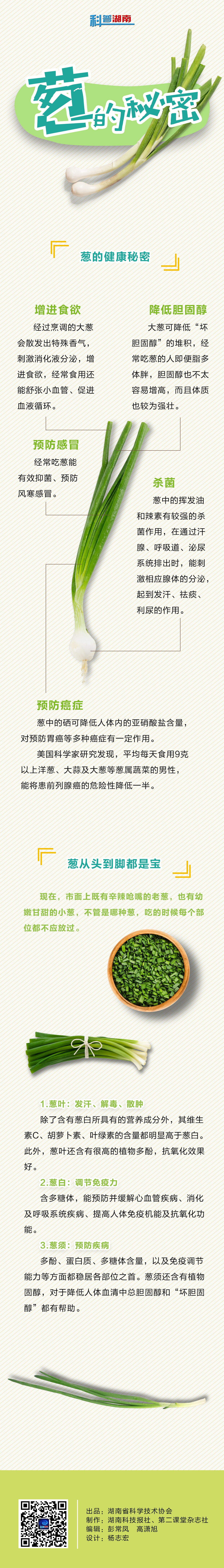 64葱的健康秘密.jpg