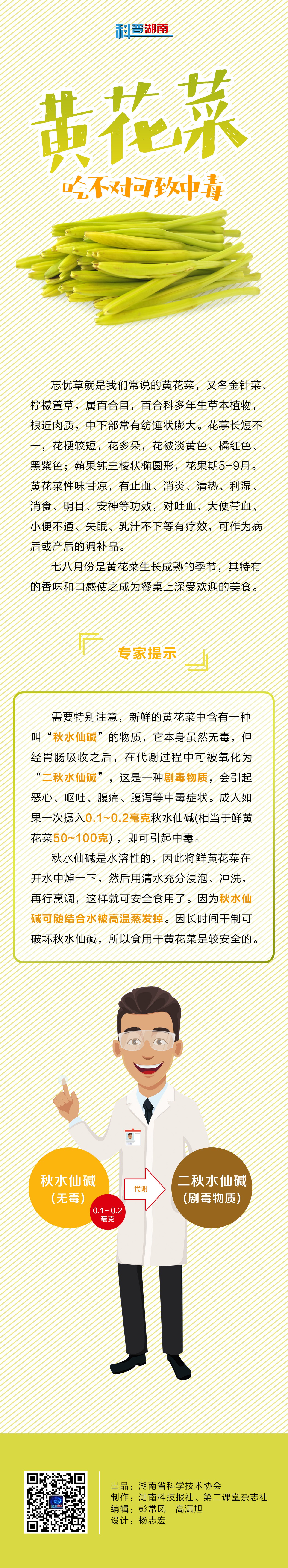 65黄花菜吃不对可致中毒.jpg