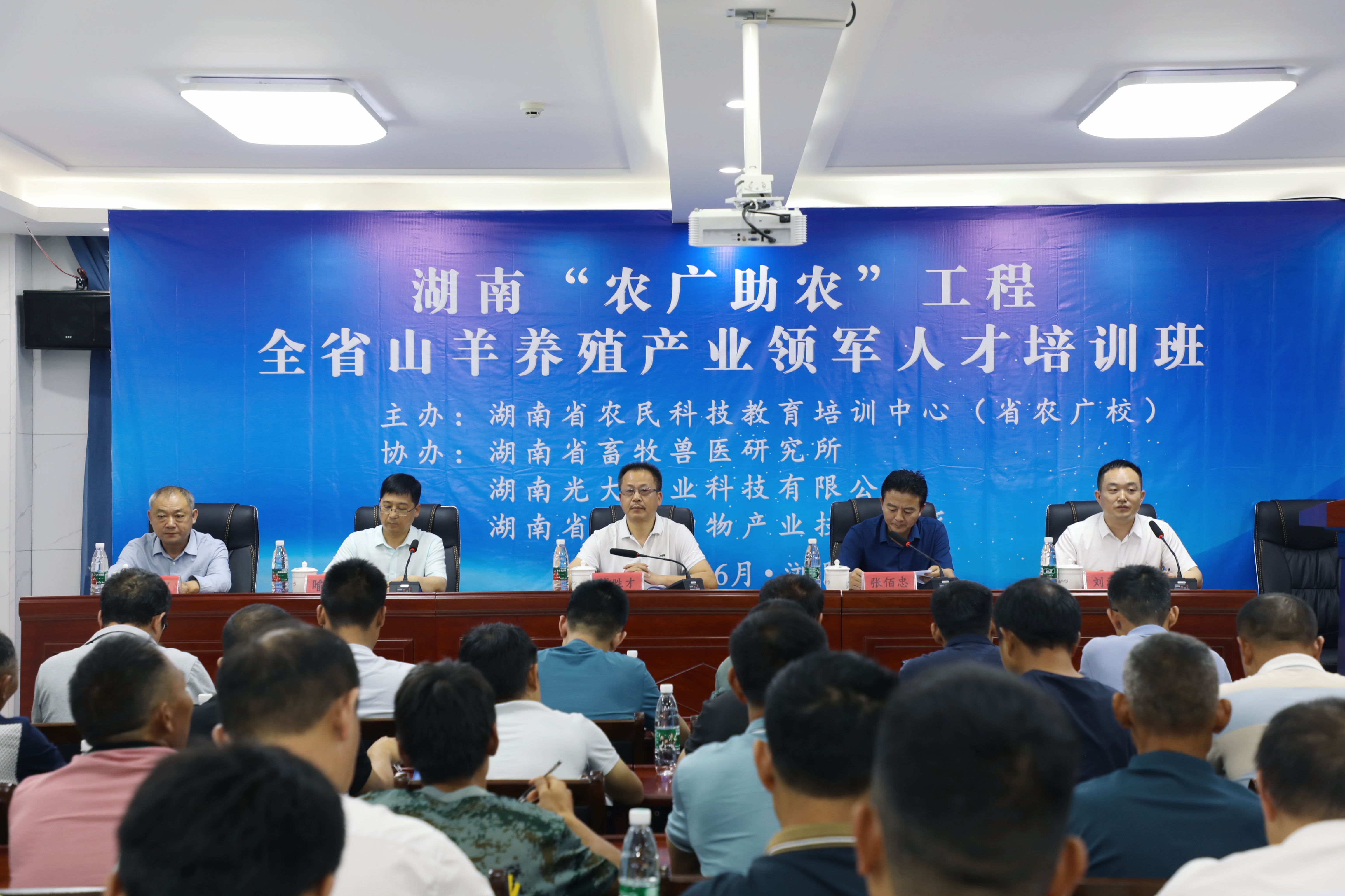 开会.jpg