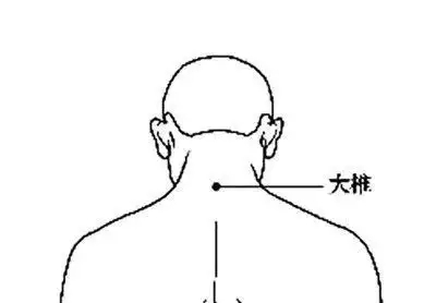 t01f29c3f43235e152c.webp.jpg