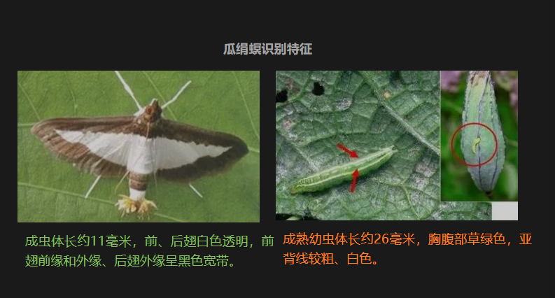 微信图片_20230730172701.png