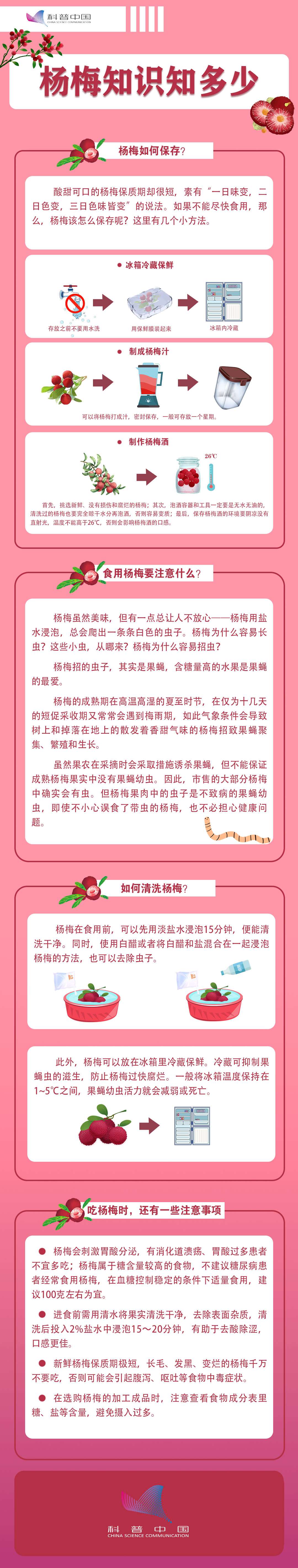 杨梅科普中国.jpg