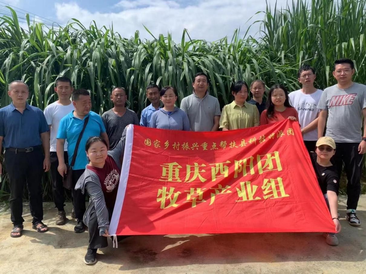 专家组与当地牧草种植大户合影.jpg