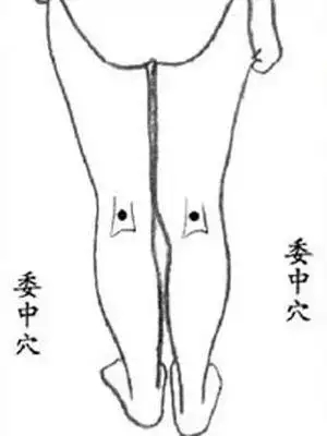 t01f18cdbb6b8f2408a.webp.jpg