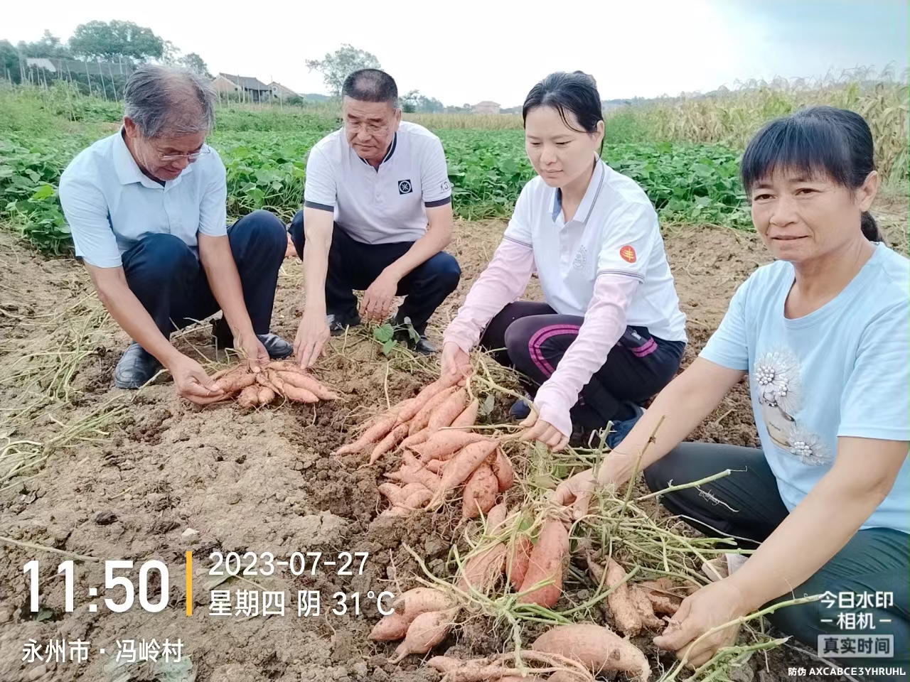 微信图片_20230730180956.jpg