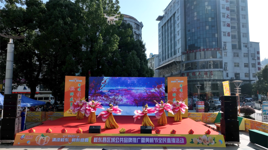 桂东县区域公共品牌推广暨黄桃节全民直播活动现场。（何丽 摄）1 (2).png