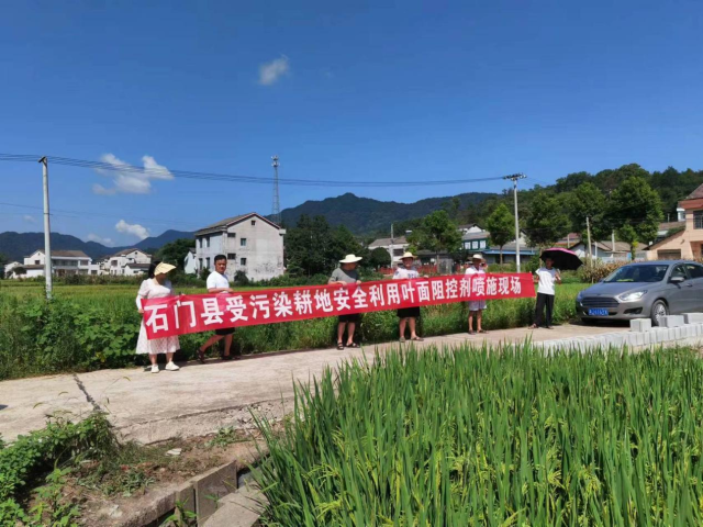 图片1 (2).png