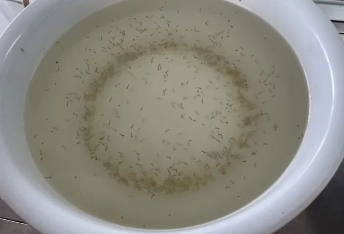 640.jpg