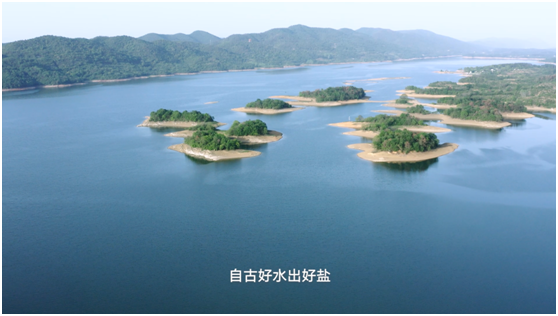 微信图片_20230801174204.png