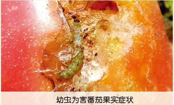 图片6.jpg