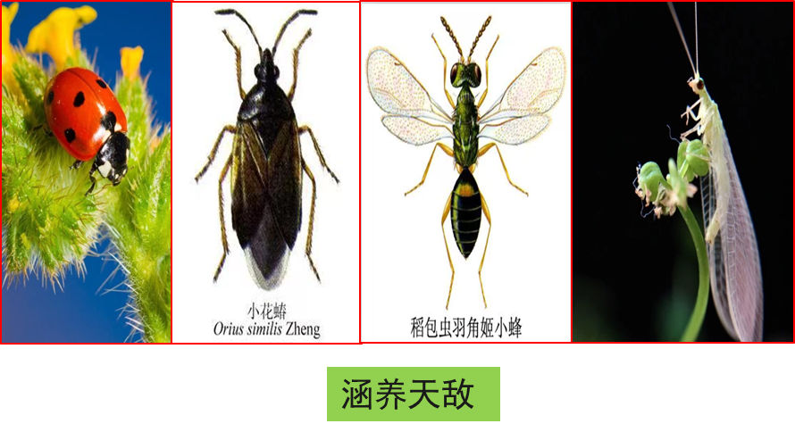 图片8.jpg