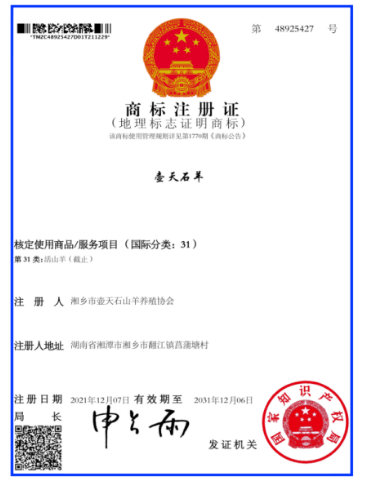图片11.png