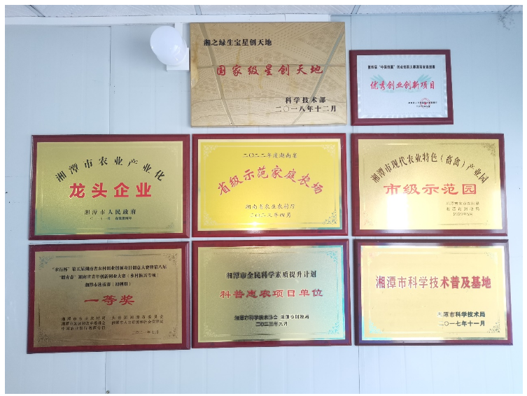 截图-2024年5月22日 9时12分49秒.png