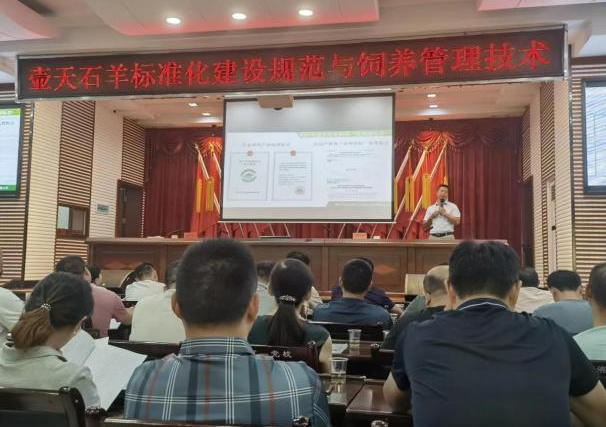 截图-2024年5月22日 9时14分45秒.png