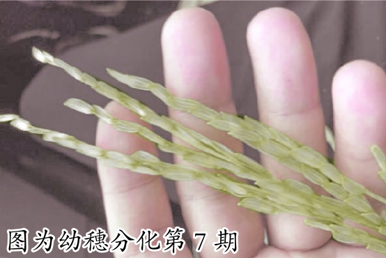 微信图片_20240606093449.jpg