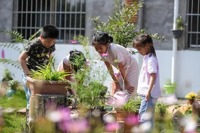 小学.webp.jpg
