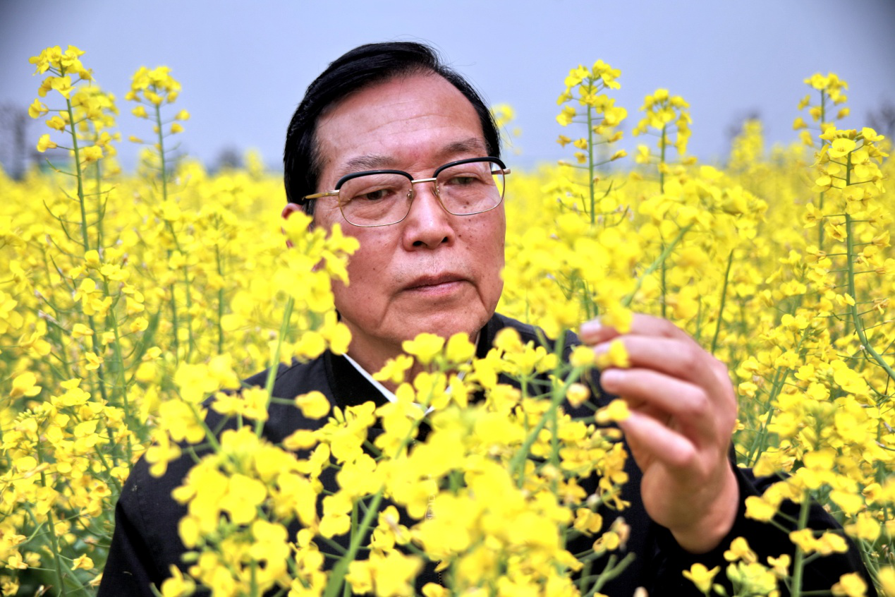 图片2.png