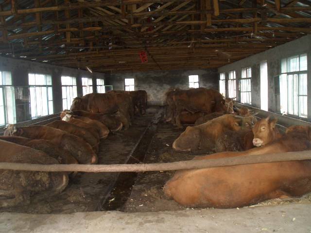 d230770bc8406cb0d4e9dec7f9030aed.jpg