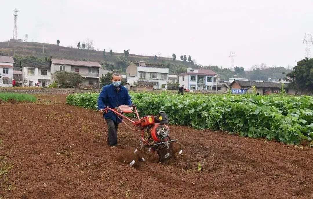 ef1d5525fb4548d893056821bdff07ae.jpeg