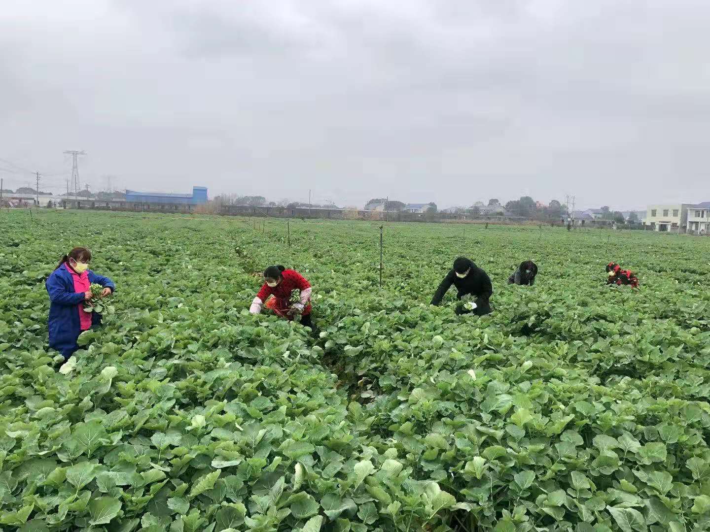 微信图片_20200213171214.jpg