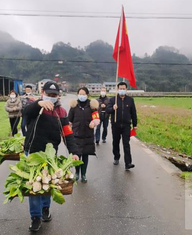 手机截屏线上显示党员采菜 (1).jpg