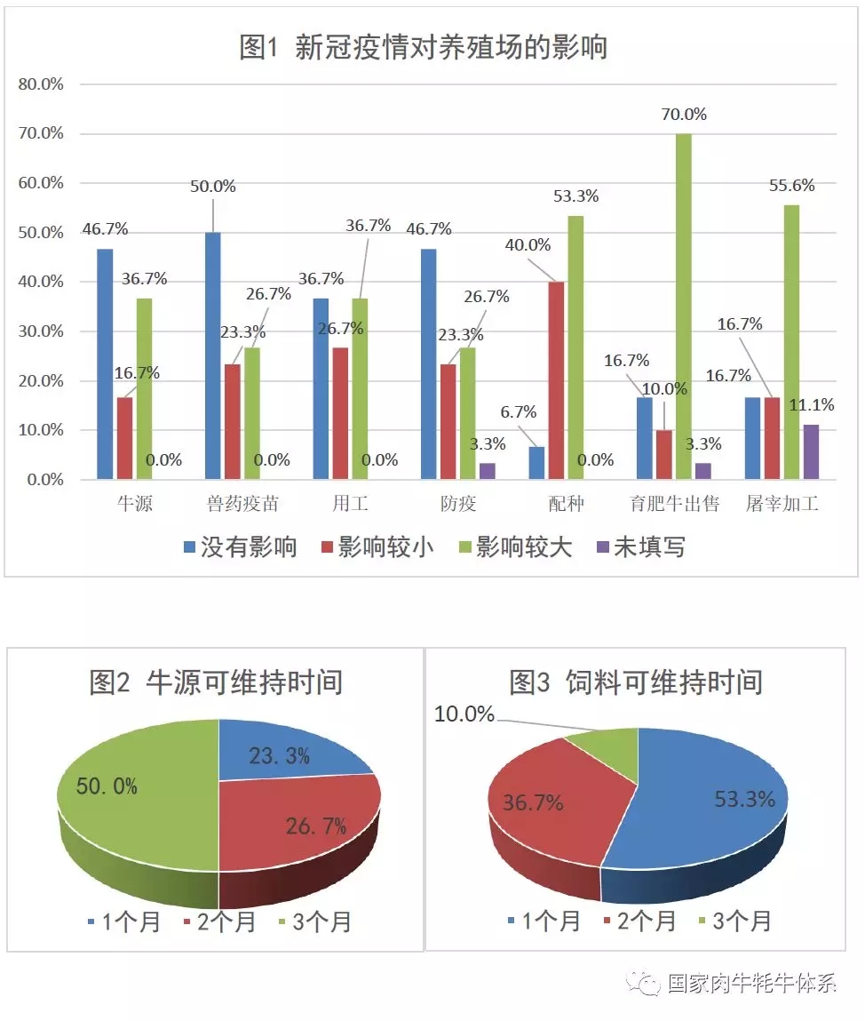 图123.webp.jpg