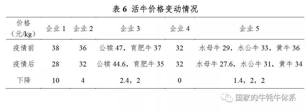 表6 活牛价格变动情况.webp.jpg