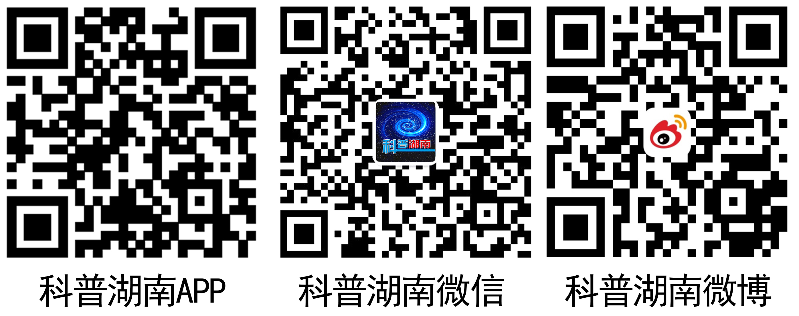 微信图片_20200206205859.jpg