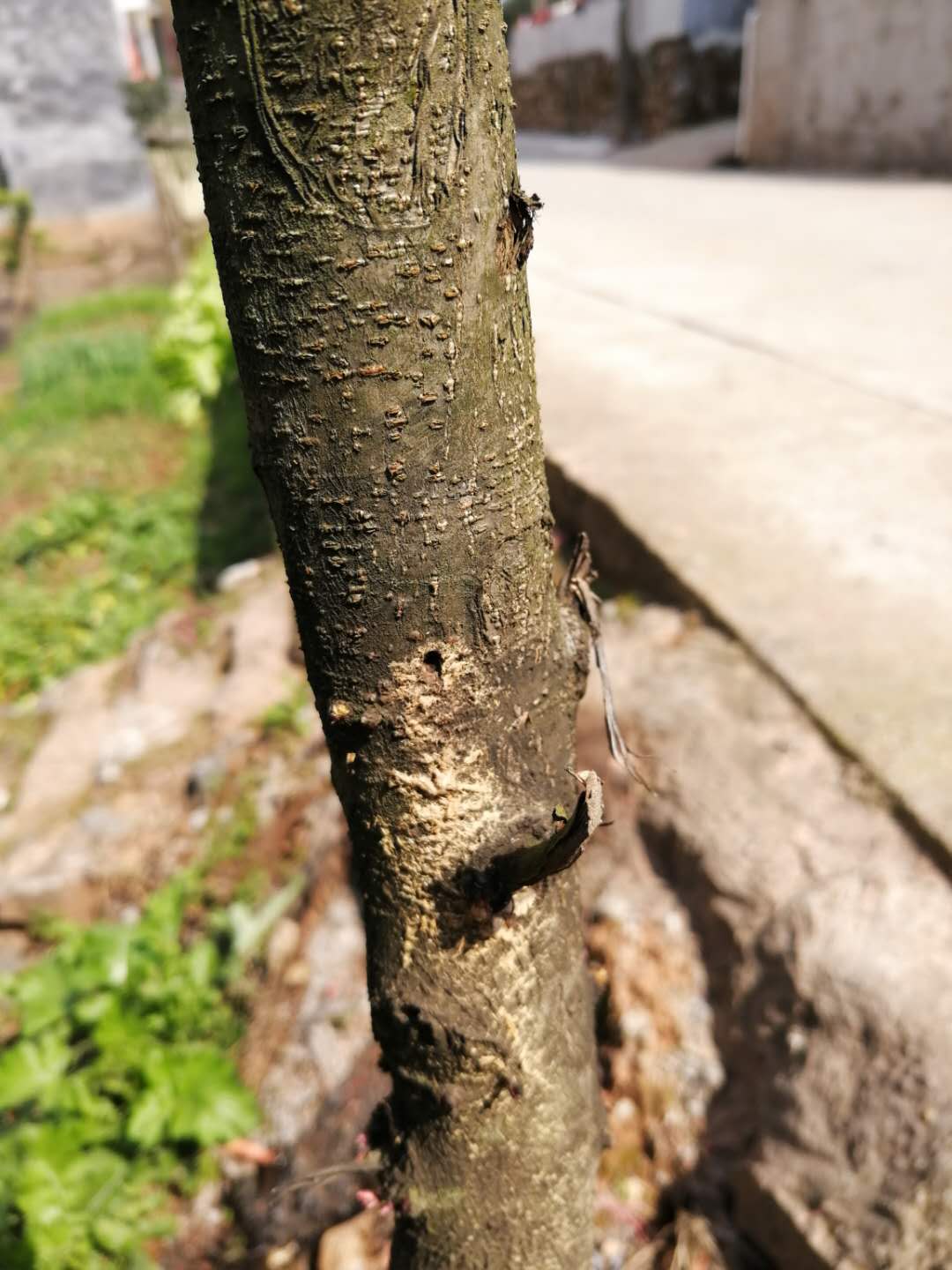 微信图片_20200226142342.jpg