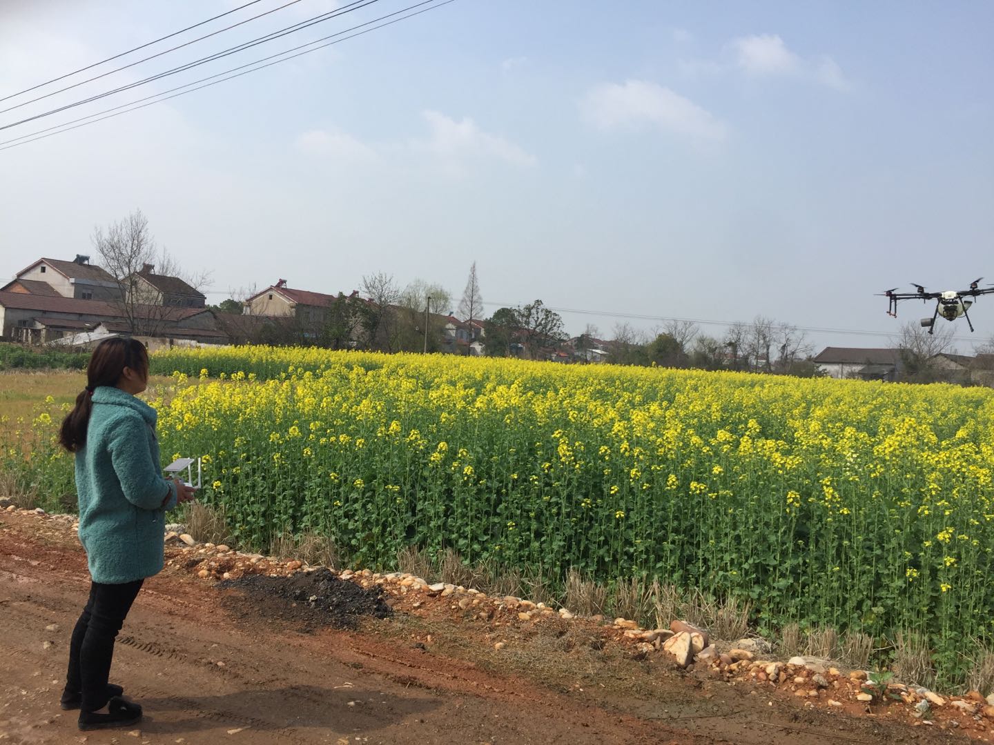 微信图片_20200305162908.jpg