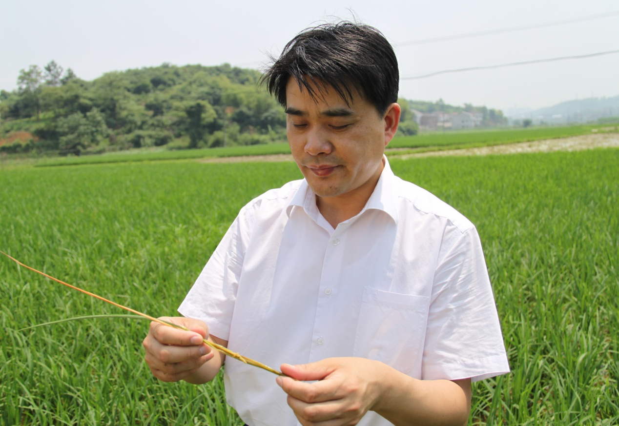 柏连阳.png