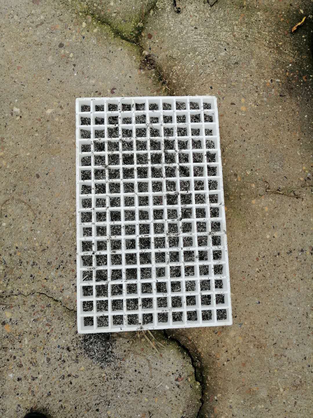 微信图片_20200313144745.jpg