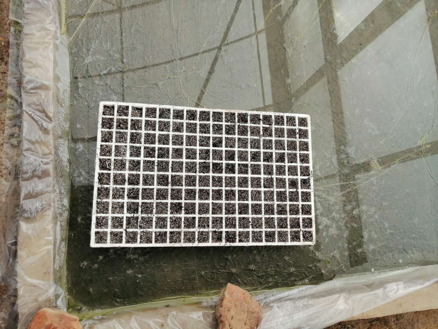 微信图片_20200313144910.jpg