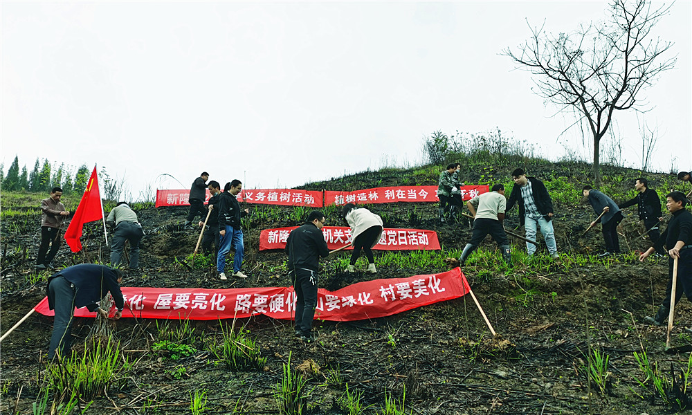 植树3.png