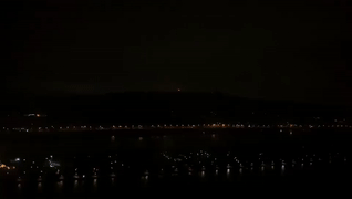 植物园配图3.gif