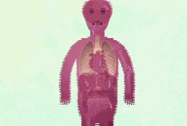微信图片_20200327092857.gif