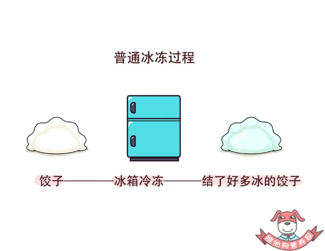 普通冷冻.jpg