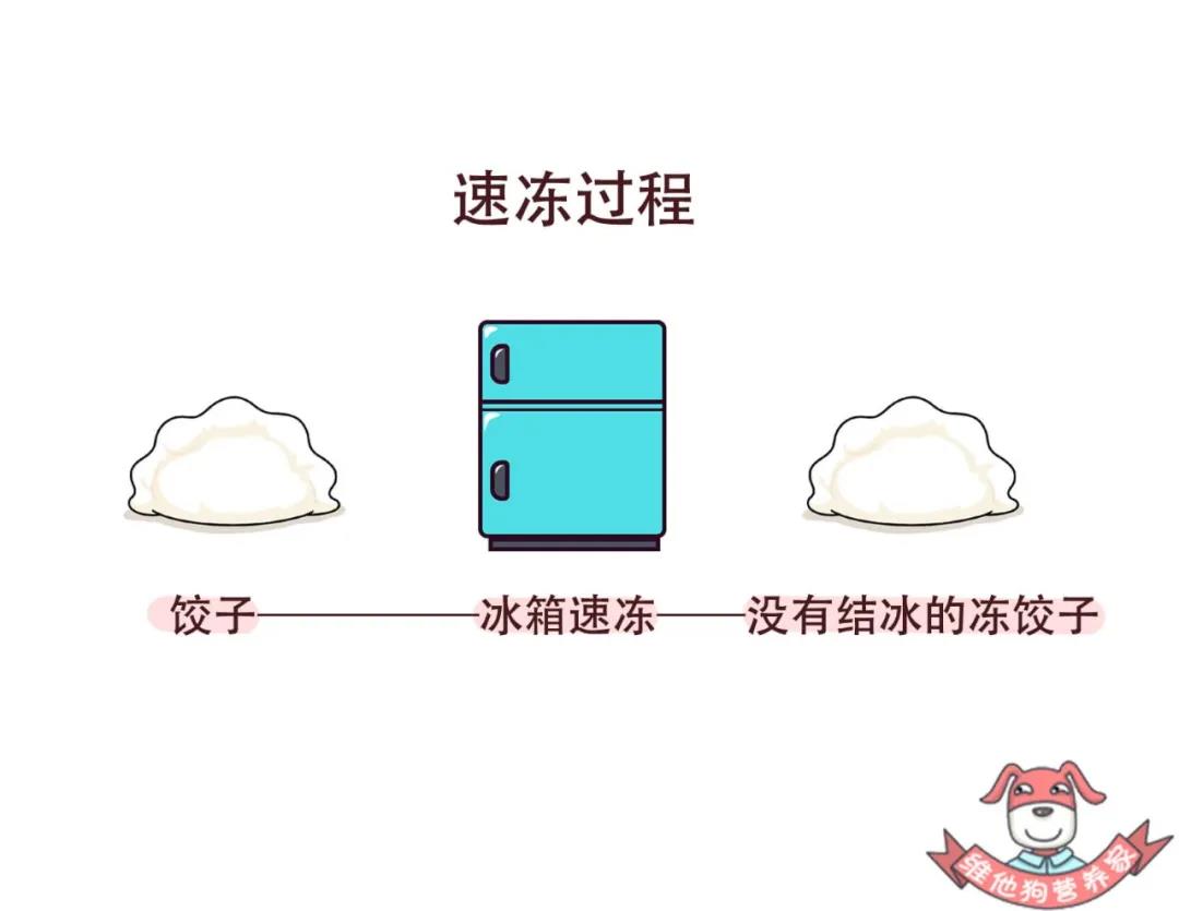 速冻过程.jpg